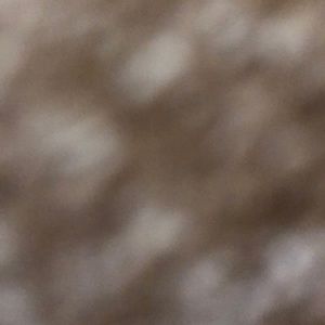 Meet your Posher, Layla